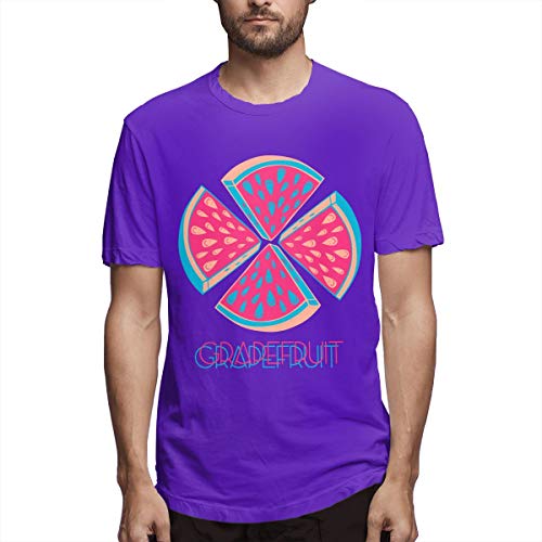 Raybestos Brakes Disc Brake Pad Set EHT2283H