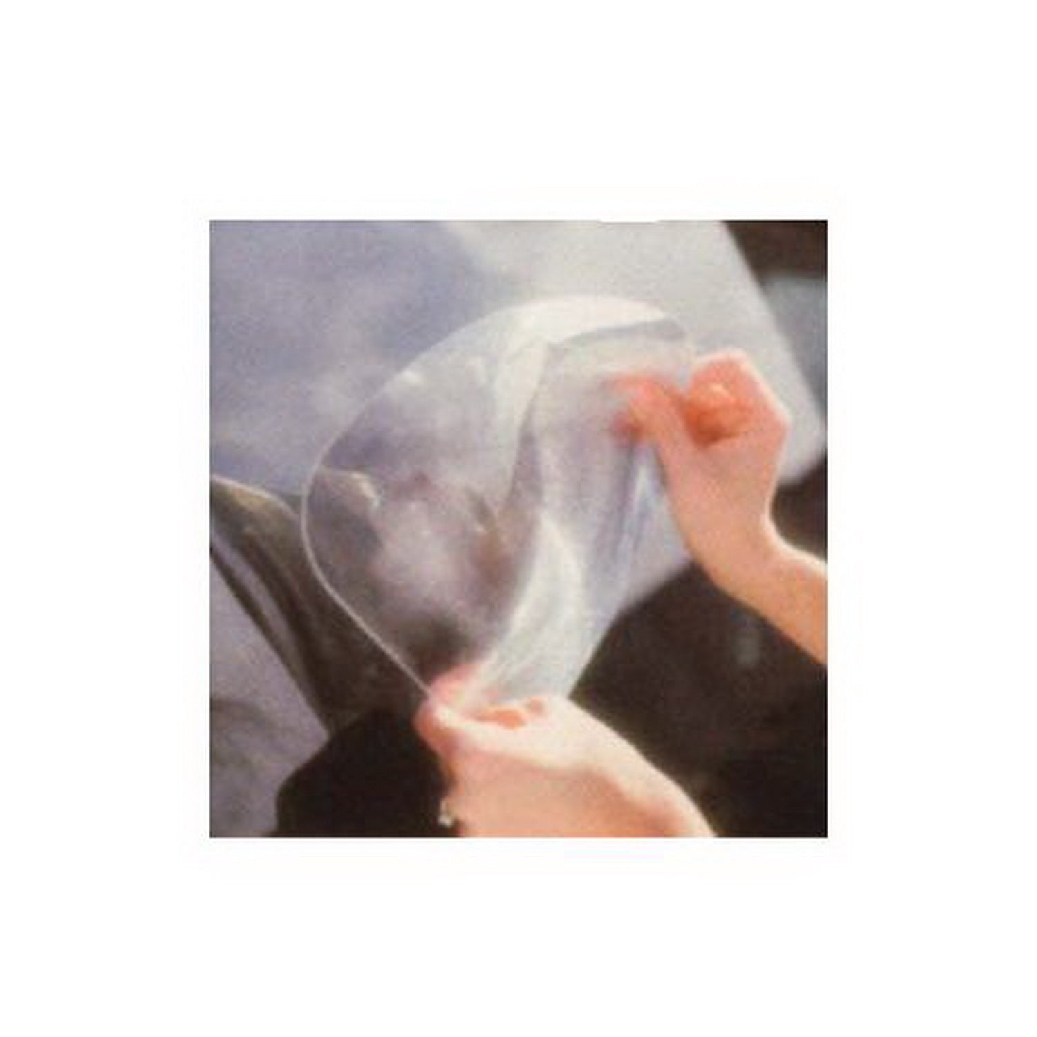 CIPA Mirrors 60100 Wide Angle Lens