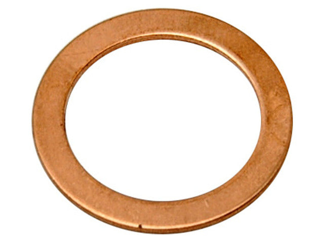 Raybestos Brakes Banjo Washer G1246