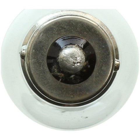 Wagner Lighting Back Up Light Bulb,Center High Mount Stop Light Bulb,Tail Light Bulb 1073