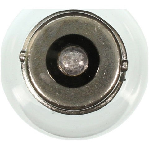 Wagner Lighting Back Up Light Bulb,Courtesy Light Bulb,Engine Compartment Light Bulb 1141