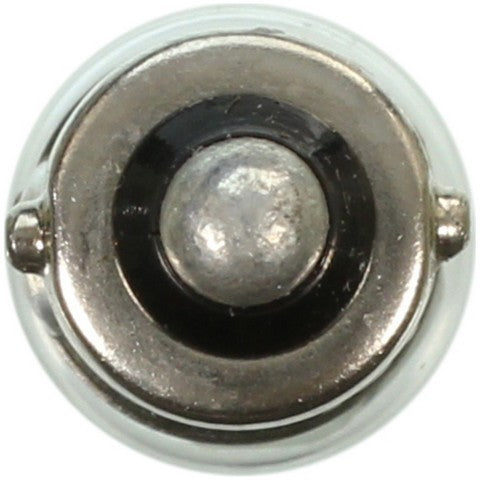 Wagner Lighting Glove Box Light Bulb,Instrument Panel Light Bulb,Map Light Bulb 1445
