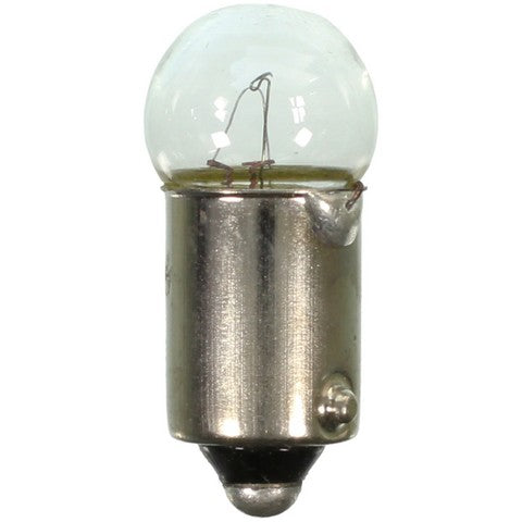 Wagner Lighting Glove Box Light Bulb,Instrument Panel Light Bulb,Map Light Bulb 1445