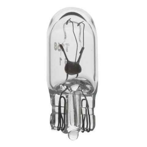 Wagner Lighting Dome Light Bulb,Instrument Panel Light Bulb,Map Light Bulb,Tail Light Bulb 168