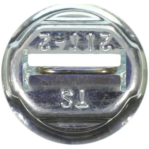 Wagner Lighting Courtesy Light Bulb,Dome Light Bulb,Map Light Bulb,Reading Light Bulb 211-2