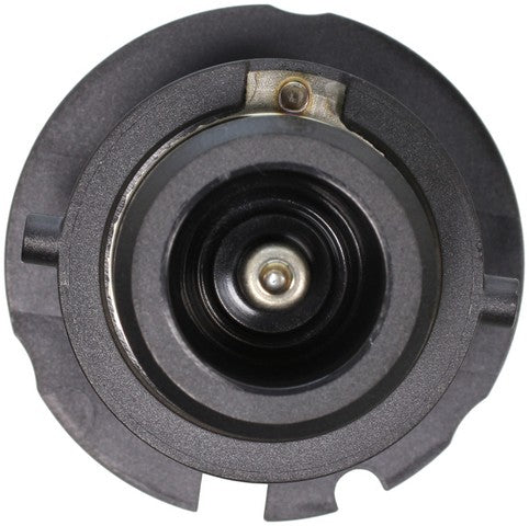 Wagner Lighting Headlight Bulb D2R