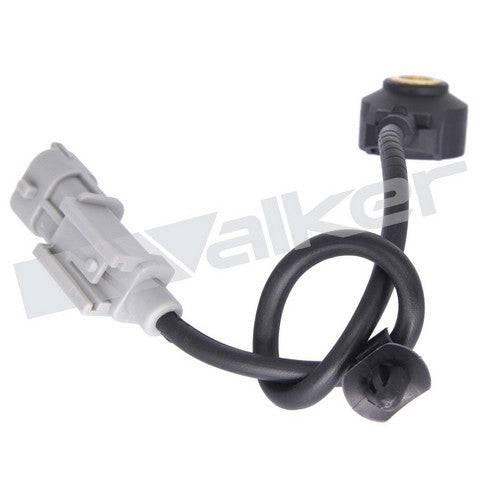 https://www.ShowMeThePartsdb.com/bin/images/WalkerProducts/242-1093_2.jpg