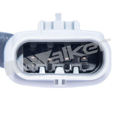 Walker Products Oxygen Sensor  350-341064