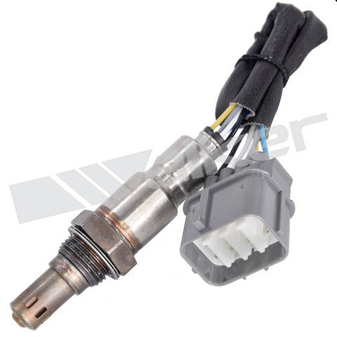 Walker Products Oxygen Sensor  350-35023