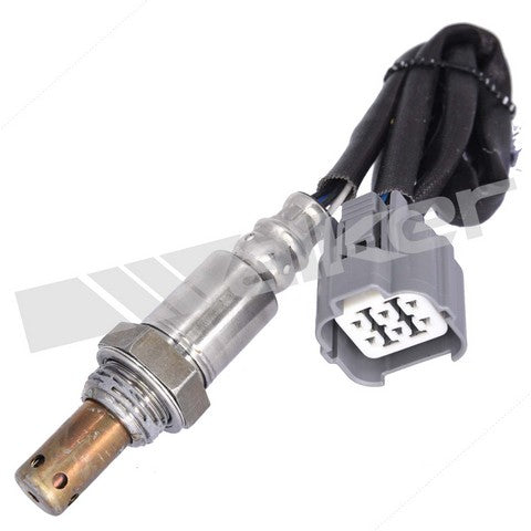 Walker Products Oxygen Sensor  350-64005