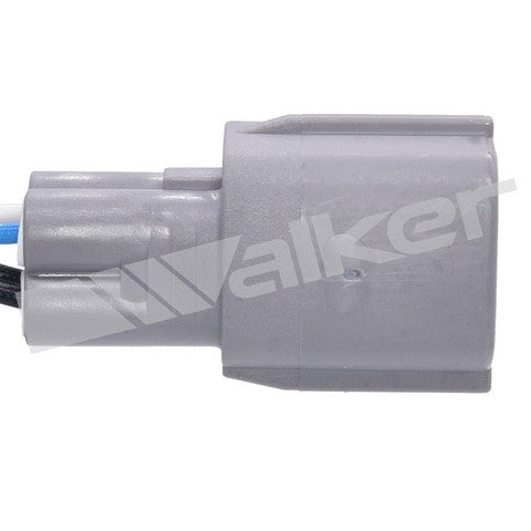Walker Products Oxygen Sensor  350-64031