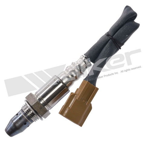 Walker Products Oxygen Sensor  350-64122