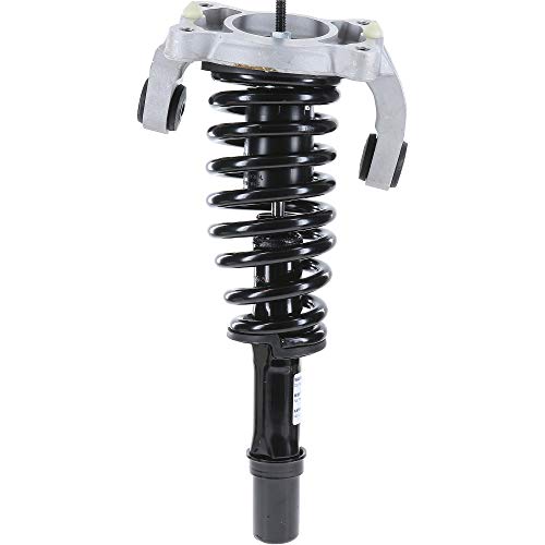 Monroe Shocks & Struts Suspension Strut and Coil Spring Assembly  181565L