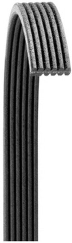 Dayco Serpentine Belt  6080719