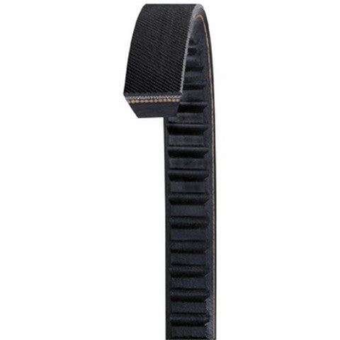 Dayco   AX89