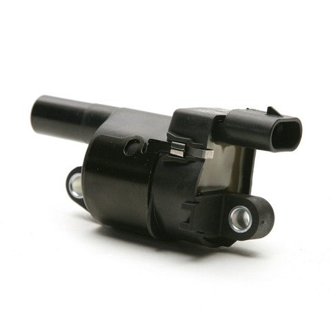 Delphi Ignition Coil  GN10165