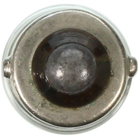 Wagner Lighting Dome Light Bulb,Glove Box Light Bulb,Instrument Panel Light Bulb  1891