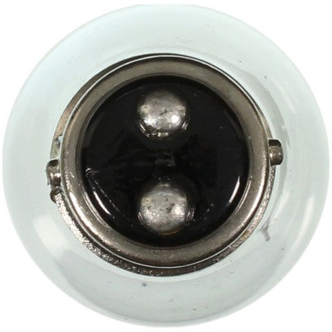 Wagner Lighting Brake Light Bulb,Parking Light Bulb,Tail Light Bulb,Turn Signal Light Bulb  198