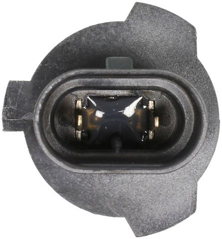 Wagner Lighting Headlight Bulb  9006XS