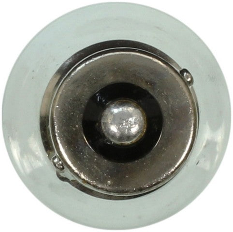Wagner Lighting Back Up Light Bulb,Engine Compartment Light Bulb,Tail Light Bulb  BP1156