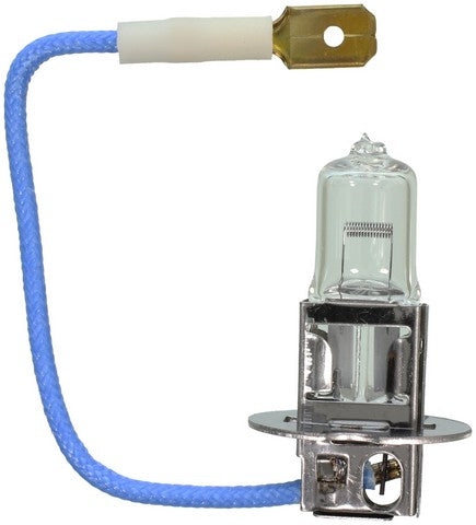 Wagner Lighting Multi Purpose Light Bulb  BP1210/H3