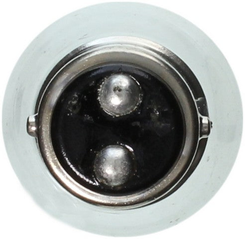 Wagner Lighting Back Up Light Bulb,Center High Mount Stop Light Bulb,Tail Light Bulb  BP2057