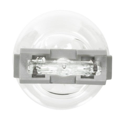 Wagner Lighting Back Up Light Bulb,Center High Mount Stop Light Bulb,Turn Signal Light Bulb  BP3156LL