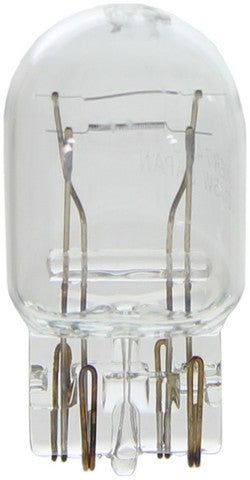 Wagner Lighting Back Up Light Bulb,Parking Light Bulb,Tail Light Bulb,Turn Signal Light Bulb  BP7443