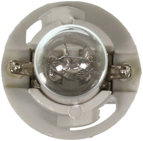 Wagner Lighting Glove Box Light Bulb,Instrument Panel Light Bulb,Map Light Bulb  PC194